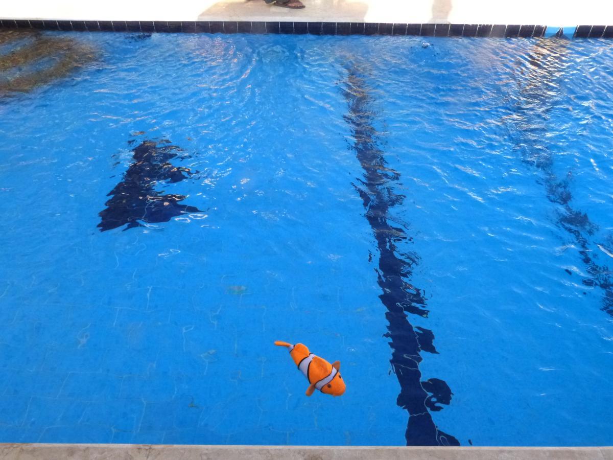 Luxor Vip Apartments Dış mekan fotoğraf