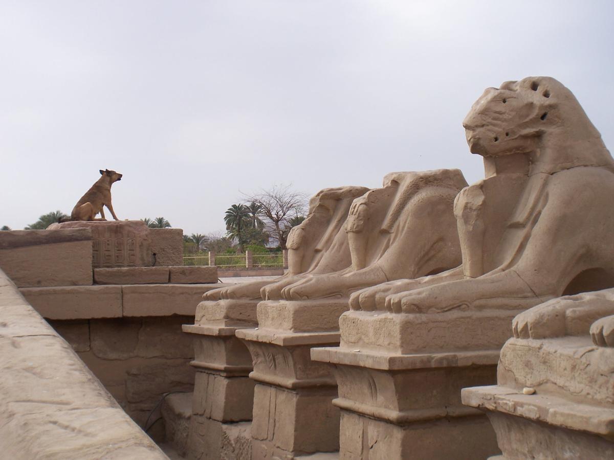 Luxor Vip Apartments Dış mekan fotoğraf